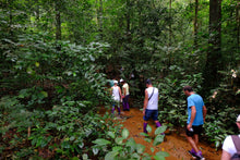 Full Day Khao Sok Lake Day Trip from Khao Lak - No Elephant (KLD)