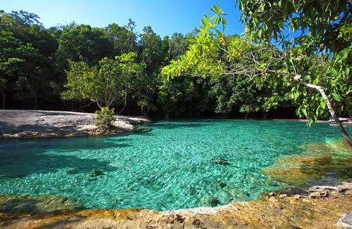 Full Day Jungle Expedition from Krabi (DSTH)