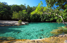 Full Day Jungle Expedition From Krabi (DSTH)