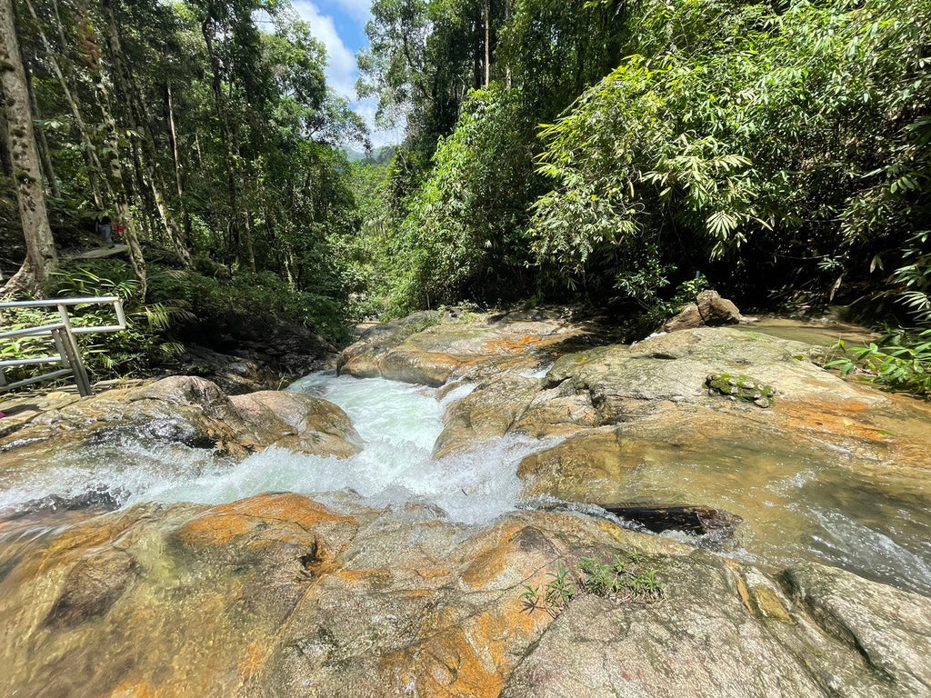 Full Day Rafting with Sky Walk, Zip line, Waterfall from Khaolak ADA ...