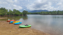Half Day Khao Lak Mangrove Explorers (DCT)