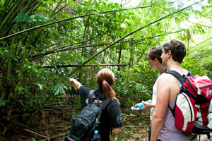 Full Day Khao Sok Jungle Hiking Canoeing [KS1-C or KS1-D] (KSD)