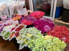 Half Day Bangkok Canal And Flower Market (DSTH)