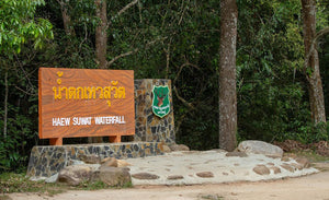 Full Day Trekking and Hiking at Khao Yai National Park