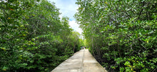 Half Day Three Islands and Kayaking Adventure from Koh Lanta LTC 2526