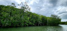 Full Day Love Kayaking, Mangroves and Hidden Islands Discovery from Koh Lanta (LTC)
