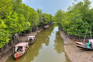 Full Day Explore Koh Lanta (EVO)