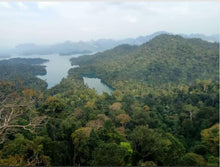2 Days 1 Night Khao Sok Jungle KSJ2-T (KSD)