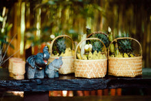 Full Day Elephant Sanctuary from Khao Lak (EKL)