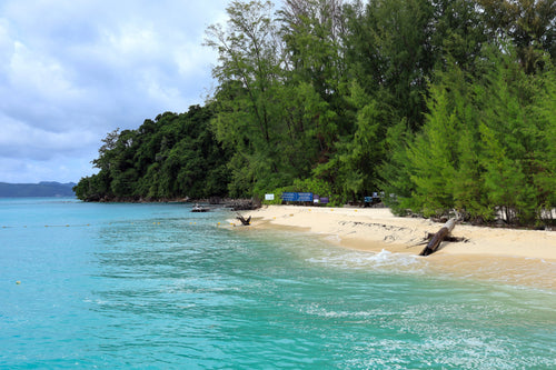 Full Day Phi Phi, Pileh Lagoon and Bamboo Island From Phuket LAM