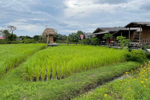 Full Day Explore Koh Lanta (EVO)