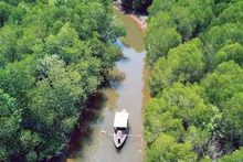 Half Day The Mangrove Private from Koh Lanta (LTC)