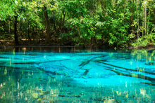 Full Day Jungle Expedition From Krabi (DSTH)