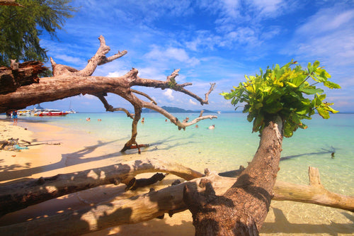 Full Day 4 Islands by Private Speedboat from Koh Lanta (OPL)