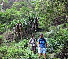2 Days 1 Night Khao Sok Jungle KSJ2-T (KSD)