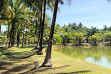 Half Day The Mangrove Private from Koh Lanta (LTC)