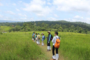 Full Day Trekking and Hiking at Khao Yai National Park