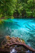 Full Day Jungle Expedition From Krabi (DSTH)