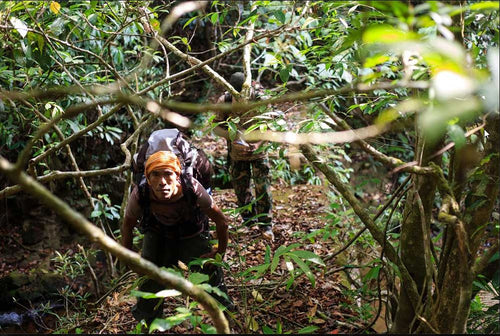 2 Days 1 Night Khao Sok Jungle KSJ2-T (KSD)