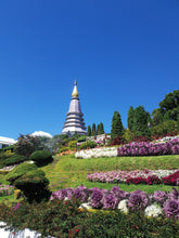 Full Day Doi Inthanon National Park From Chiang Mai (F&F)