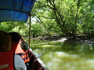 Full Day Mangrove Forest Conservation Centre (DSTH)