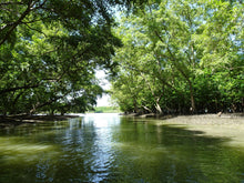 Full Day Mangrove Forest Conservation Centre (DSTH)