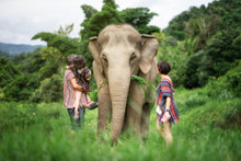 Feed Me Program At Elephant Jungle Sanctuary - Ticket Only, No Transfer (EJS)