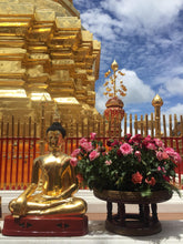 Half Day Doi Suthep Temple With Meo Doi Pui From Chiang Mai - AM tour (F&F)
