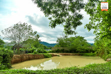 Half Day at Elephant Jungle Sanctuary (EJS)