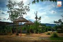 Feed Me Program At Elephant Jungle Sanctuary - Ticket Only, No Transfer (EJS)