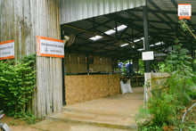 Half Day at Elephant Jungle Sanctuary (EJS)