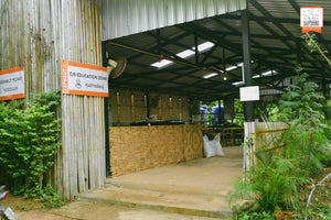 Half Day at Elephant Jungle Sanctuary (EJS)