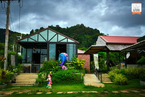Half Day at Elephant Jungle Sanctuary (EJS)