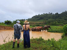 Half Day Elephant Nature From Phuket (BEP)