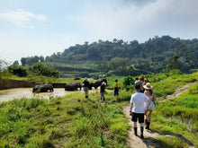 Half Day Elephant Nature From Phuket (BEP)