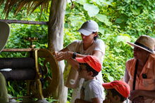 Half Day Elephant Nature From Phuket (BEP)