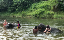 Full Day Unseen Khao Sok Elephant Care and Nature Treat From Krabi (USK)