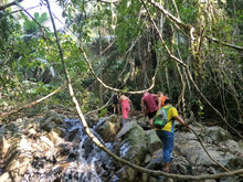 Full Day Phuket Jungle Trekking (4Hours Jungle Hiking) (ADN)