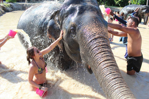 Half Day Elephant Experience From Phuket (GES)
