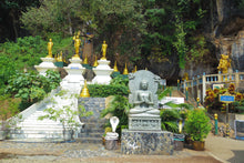 Half Day Krabi City And Temple from Krabi (DSTH)