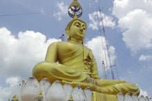 Half Day Krabi City And Temple from Krabi (DSTH)