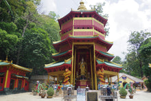 Half Day Krabi City And Temple from Krabi (DSTH)