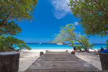 Full Day Similan Island By Speed Catamaran From Phuket (SWN)