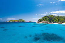 Full Day Similan Island By Speed Catamaran from Phuket SWN