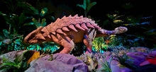 Combo: Jurassic All Day Pass & Calypso Show - Ticket Only