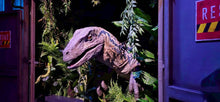 Combo: Jurassic All Day Pass & Calypso Show - Ticket Only