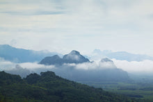 Full Day Khao Sok Jungle Hiking Canoeing [KS1-C or KS1-D] (KSD)