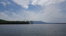 Half Day Mangrove Fishing and Relaxing Adventure from Khao Lak (DCT)