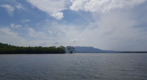 Half Day Mangrove Fishing and Relaxing Adventure from Khao Lak (DCT)