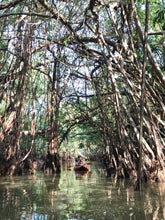 Full Day Unseen Khao Sok Eco Tour From Khao Lak (USK)
